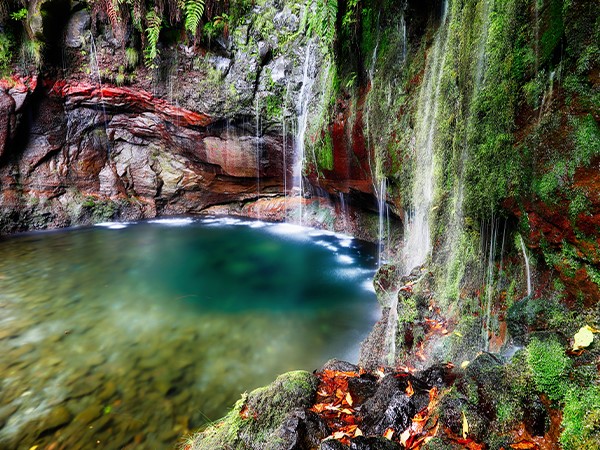 Tour in kleiner Gruppe zu den Wasserfällen und zum Fanal-Wald