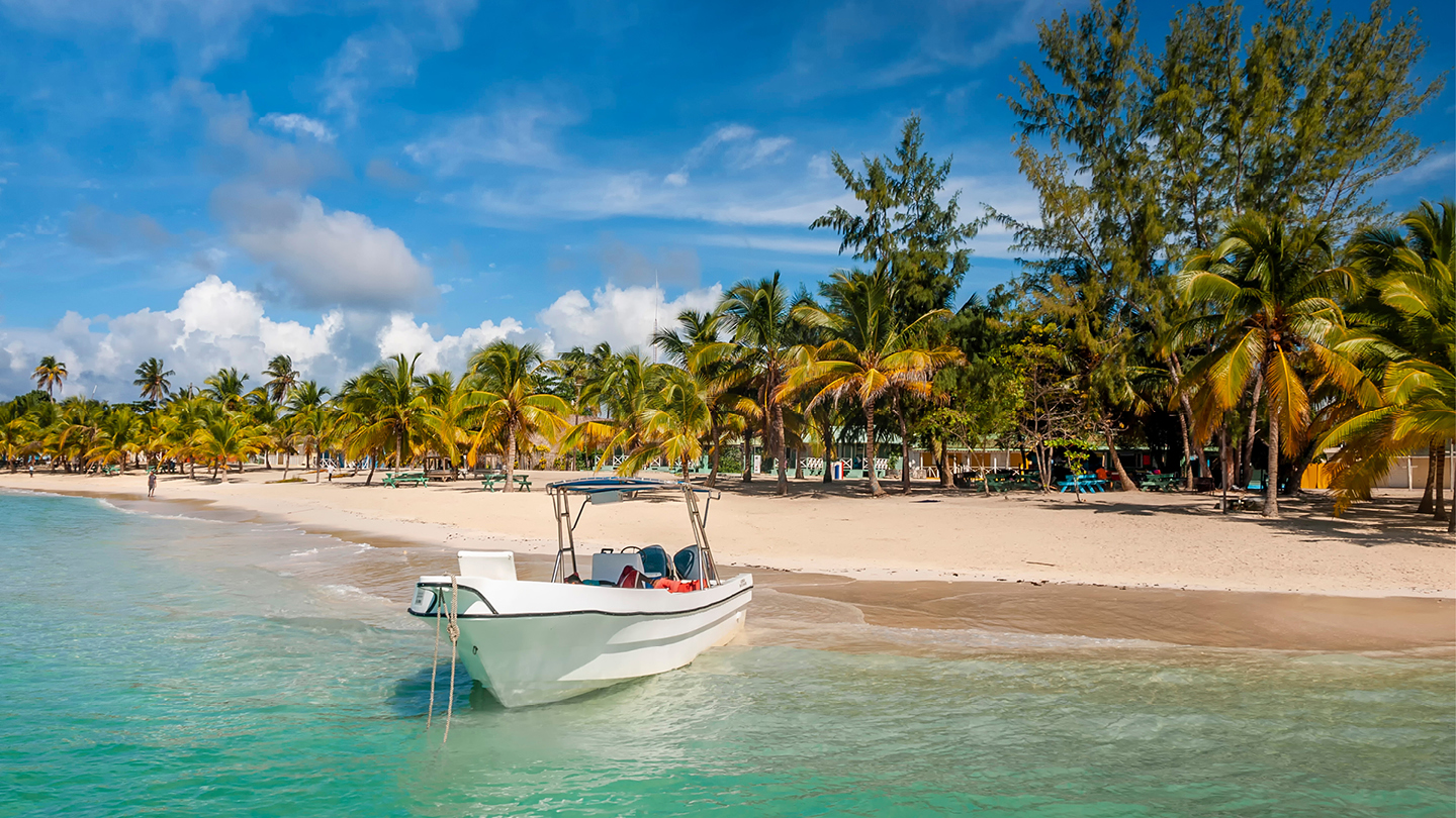 Saona island day trip from Punta Cana