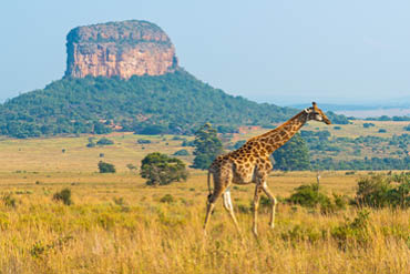 L'aventure, sans limites !