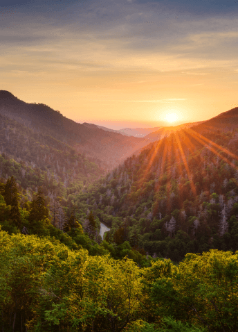 View of forested mountains with sunset in the background