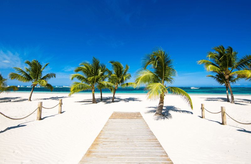 A wooden walkway leading to a sandy beach framed by lush palm trees under a clear blue sky.
