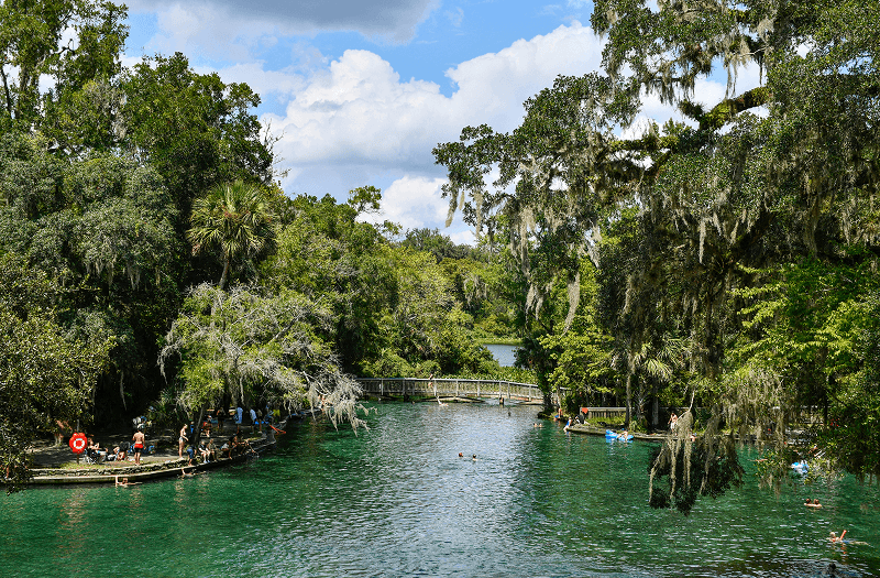 People swimming and sunbathing at Wekiwa Springs State Park near Orlando, Florida.