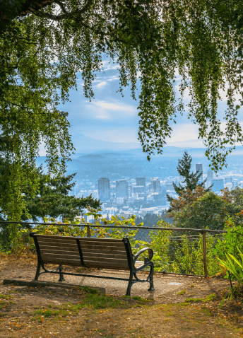 A wooden bench situated under a leafy tree in a park overlooking the Portland skyline.