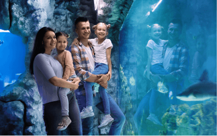 A smiling family looking at a swimming shark in an indoor aquarium.