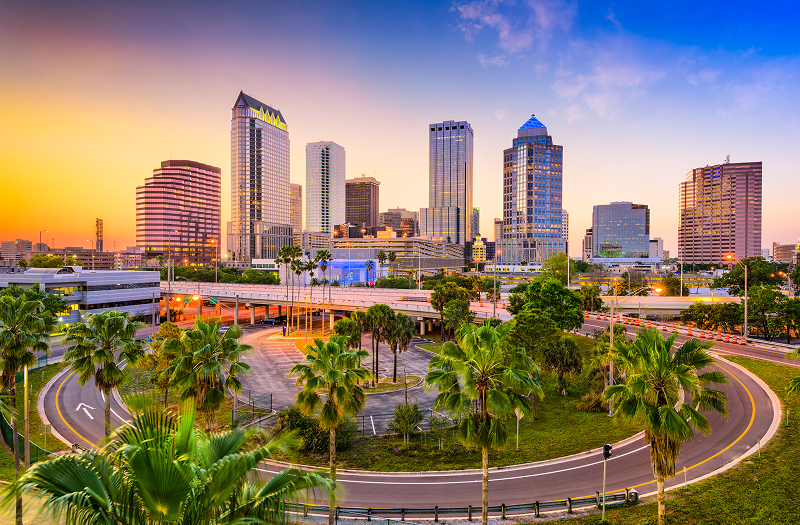 Tall palm trees, a circling road, and the skyline of downtown Tampa during a beautiful sunset.