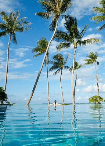 Tall palm trees surrounding a person enjoying an infinity pool that appears to meld into the ocean on a bright day.