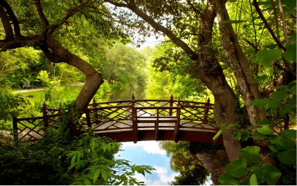 A beautiful wooden bridge crossing over a small stream, surrounded by foliage and trees, near Colonial Williamsburg.
