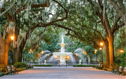 A tree-lined path leading to stunning Forsyth Park in Savannah’s historic district.