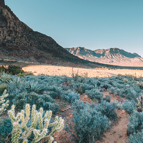 Desert landscape with mountains and clear sky in the background