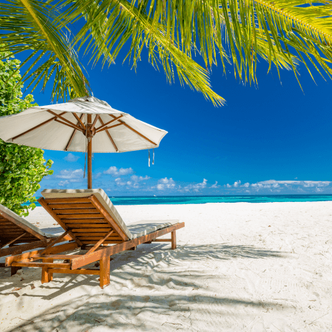 A beach chair on the beach on a beautiful blue day with the shade of a palm tree to cover it.