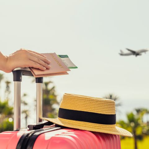 A person holding their luggage and passport as a plane takes off in the background.