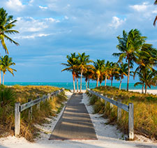 A wonderful beach boardwalk facing palm trees