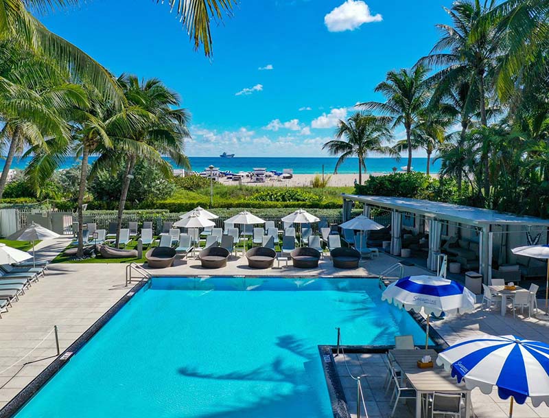 A view of the pool surrounded by palm trees and lounge chairs, with the ocean visible in the distance.