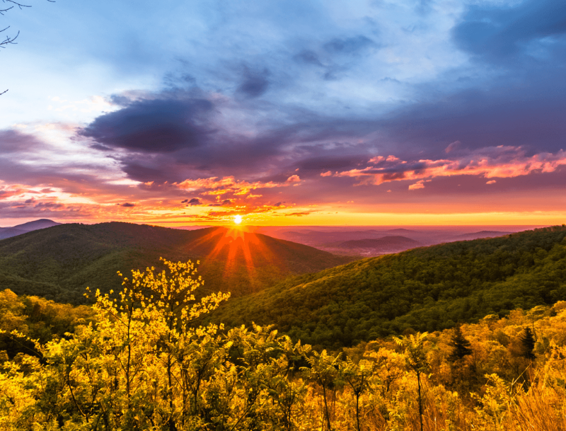 A vibrant sunset over rolling green mountains in Shenandoah, Virginia, with golden foliage in the foreground under a dramatic evening sky.