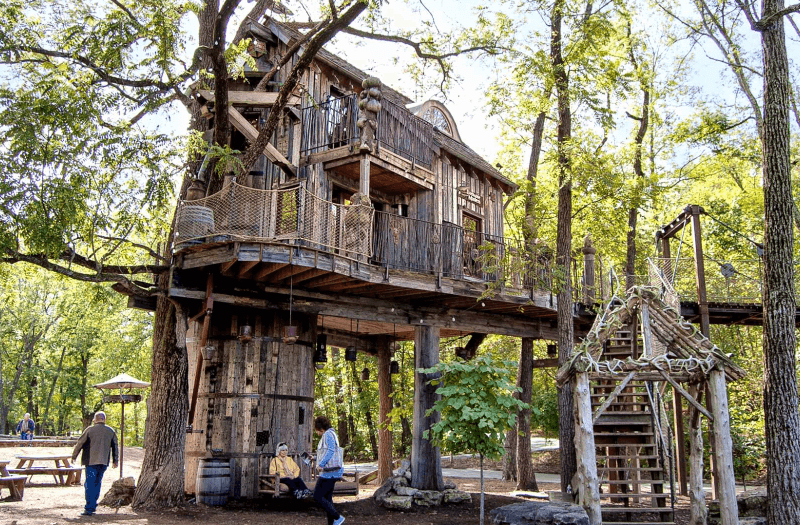 Tree house surrounded by trees