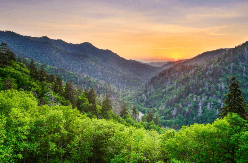 Forested mountains with sunset in the background