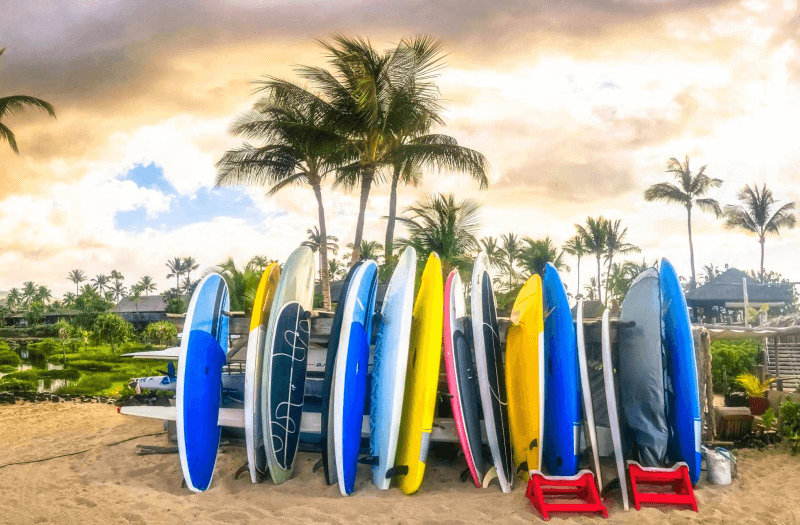 Surfboards on the beach with palm trees and sky with clouds in the background