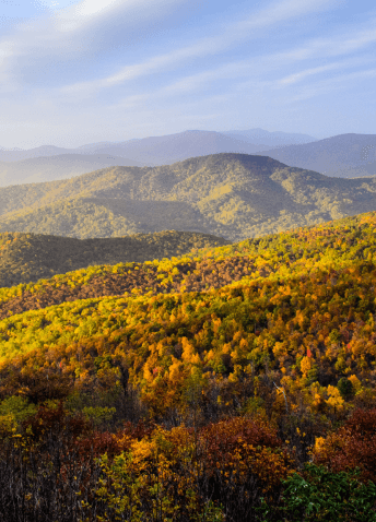 A scenic view of a mountain range with a few trees in the foreground, showcasing natural beauty and tranquility.