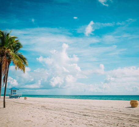 Florida's Top 5 Beaches